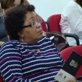 Conferência Livre da Promoção da Igualdade Racial - São Paulo - 24.03.2017