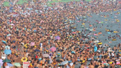 Aumento populacional afeta outras formas de vida no planeta