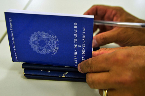 Desemprego entre jovens cai pela metade entre 2019 e 2024